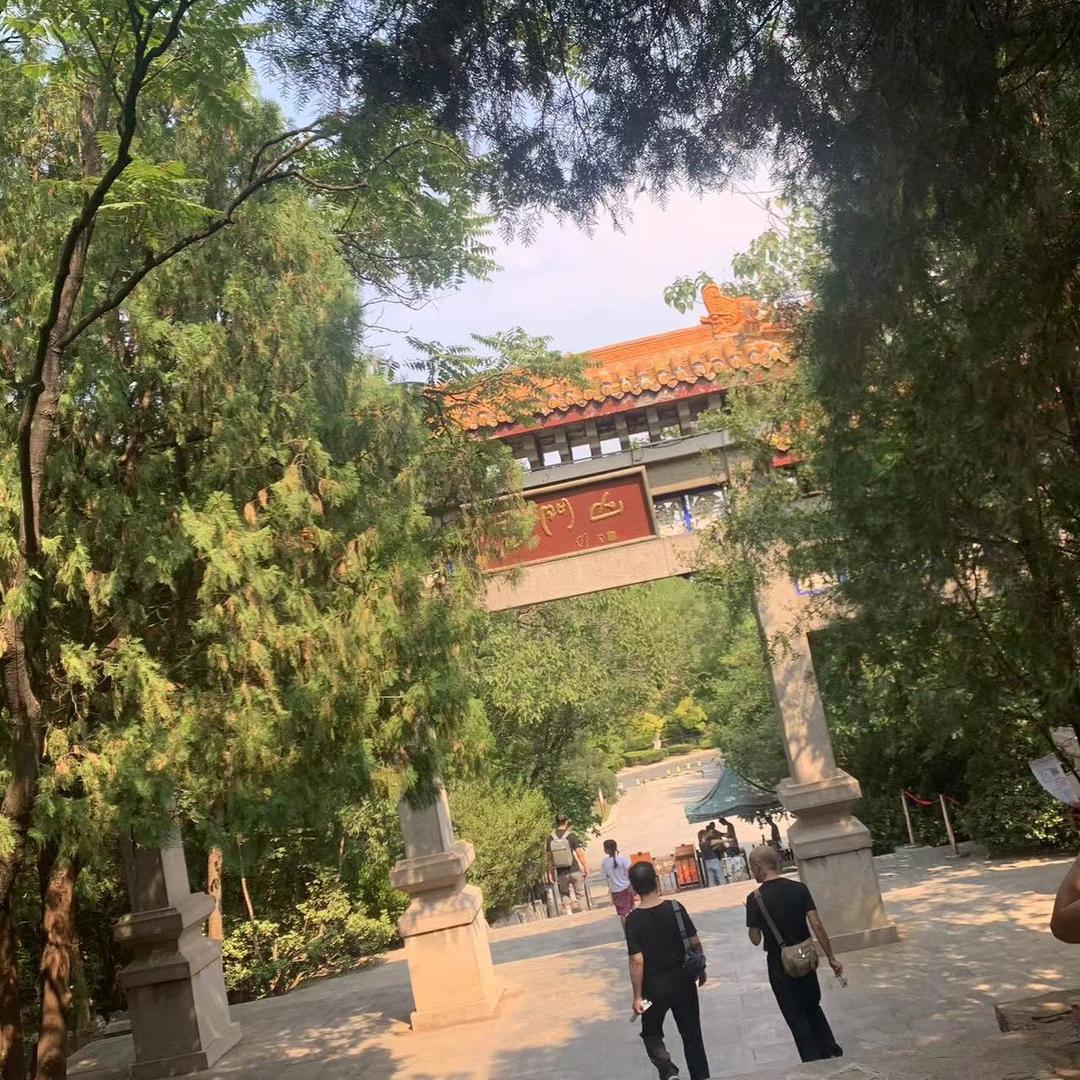 悠闲的的