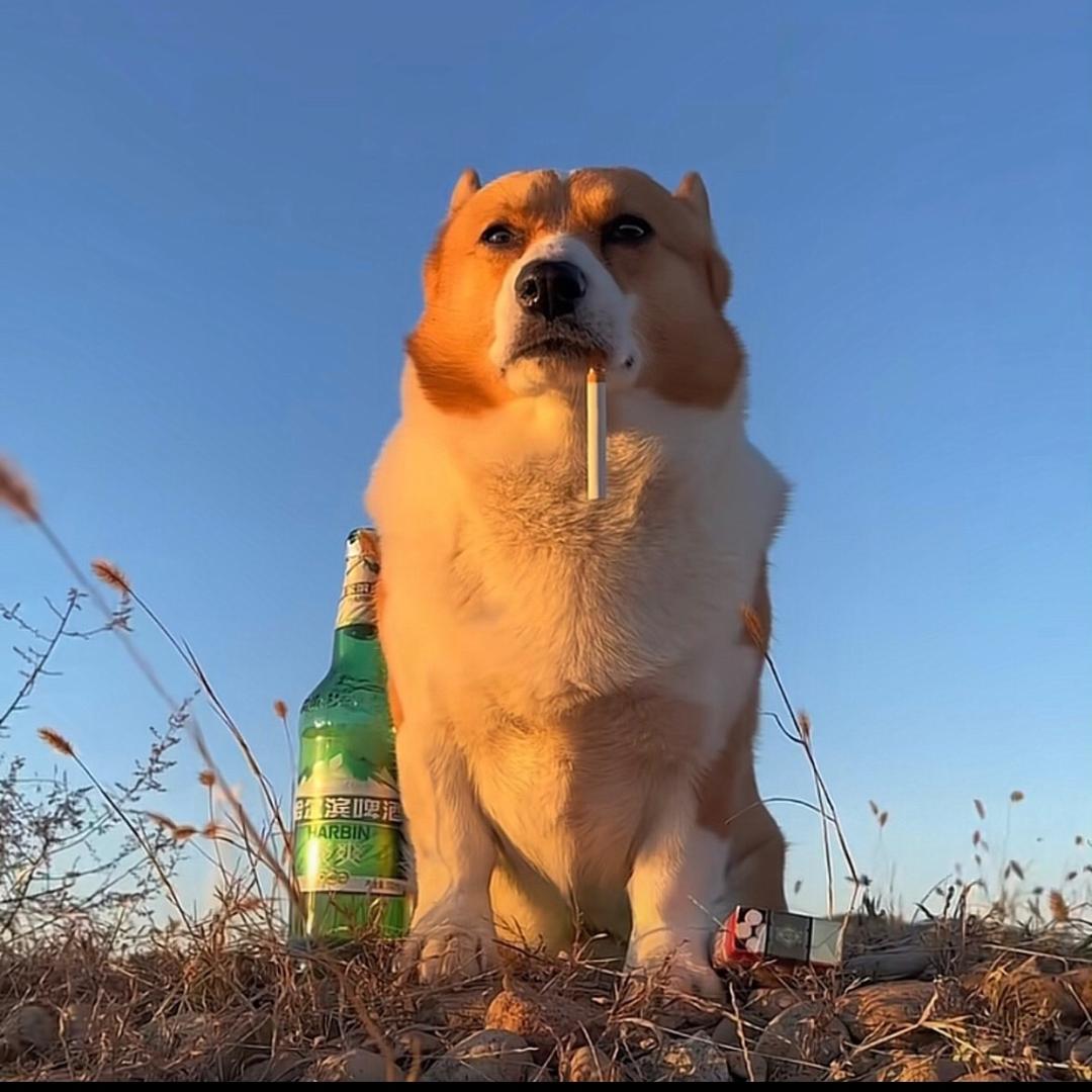 我挺好的.