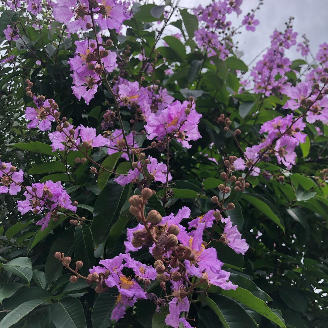 好好休息一下