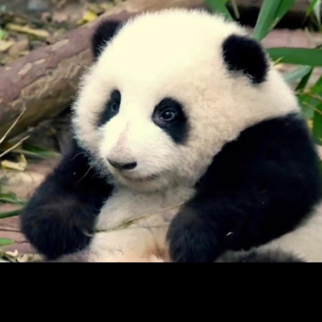 湛江乐民大理石