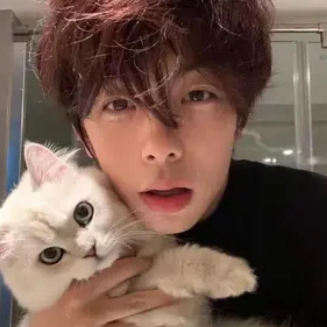ㅤYyy
