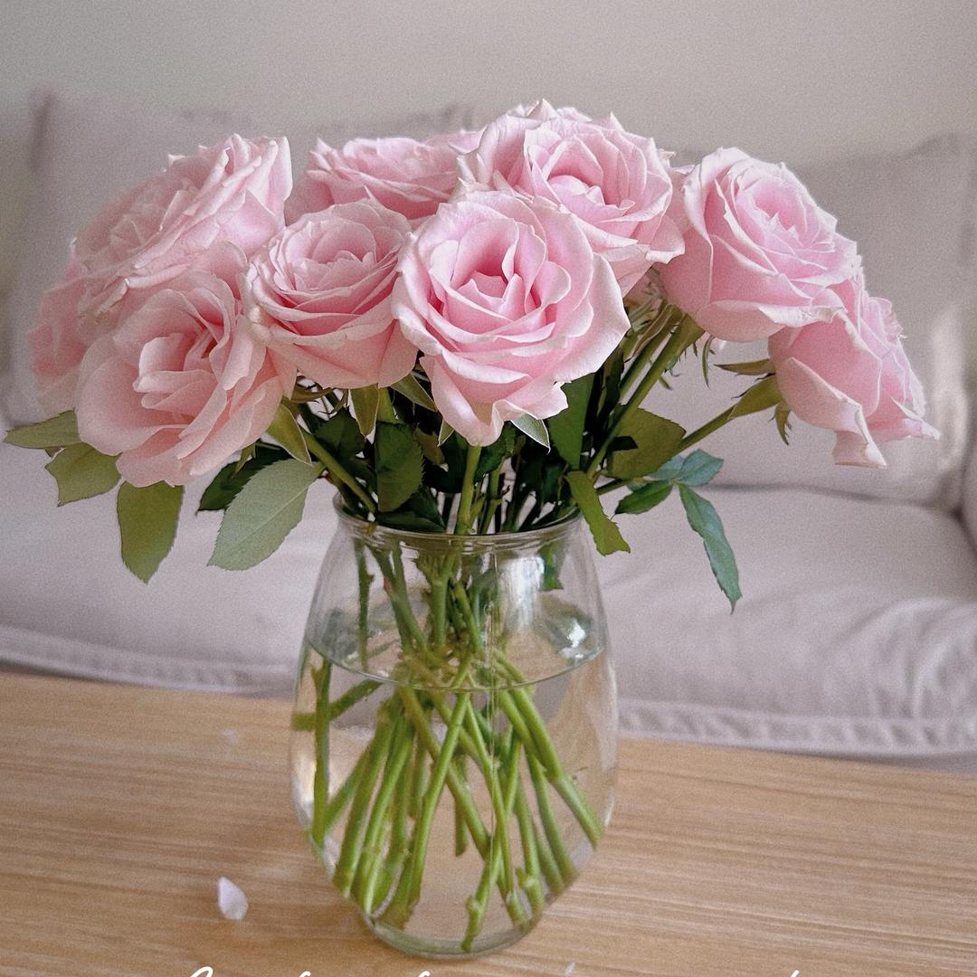 🌸格桑花🌸