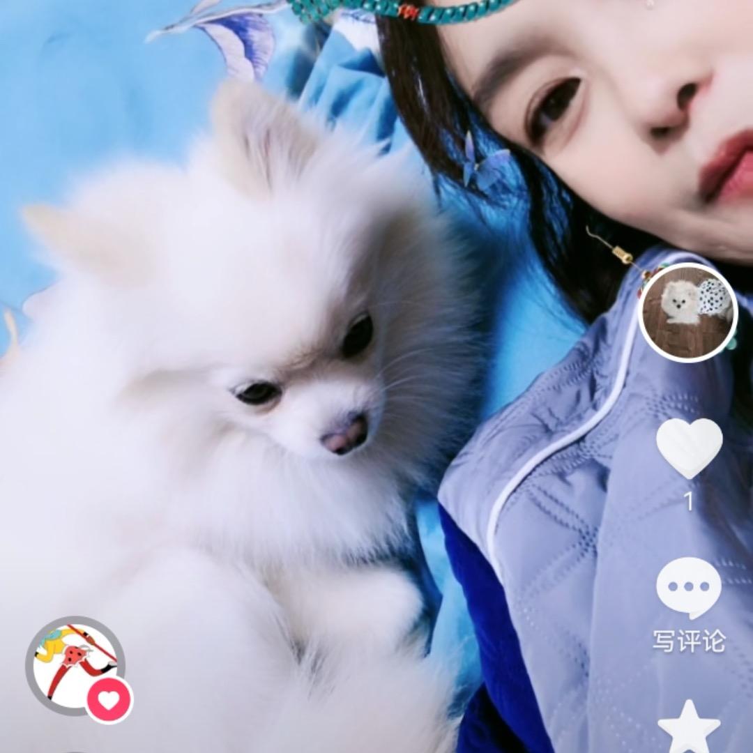 我的小葵
