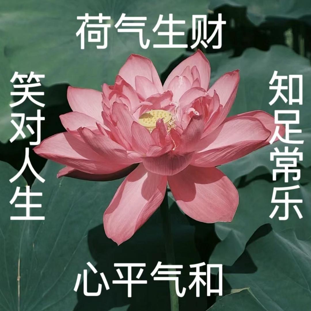 开心薛薛乐