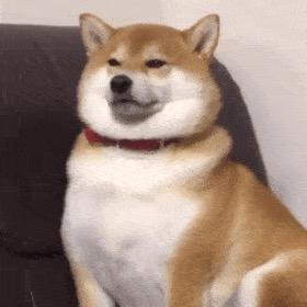 46788