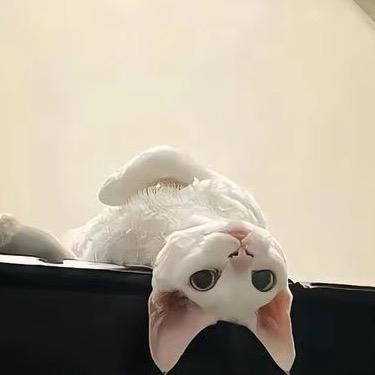 以后ID叫美女🤍