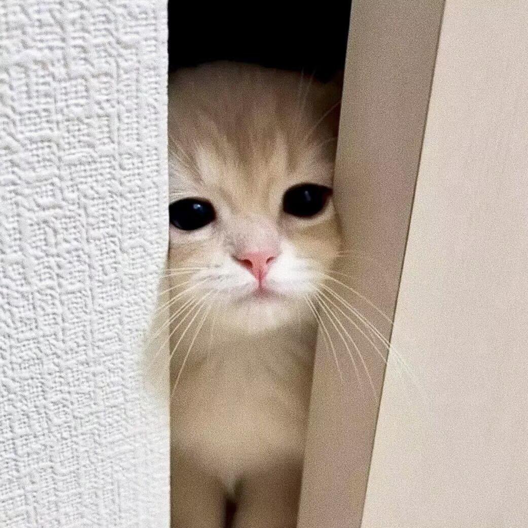 降日