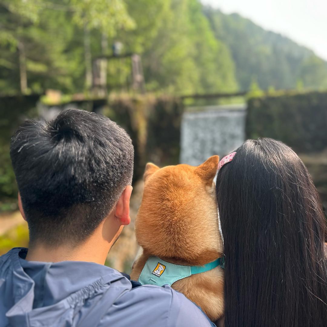 有钱的干饭日常