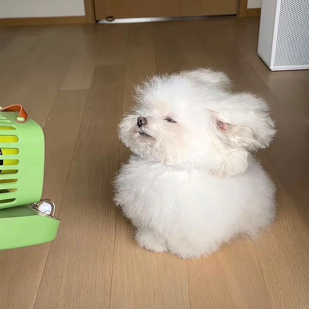 予与鱼