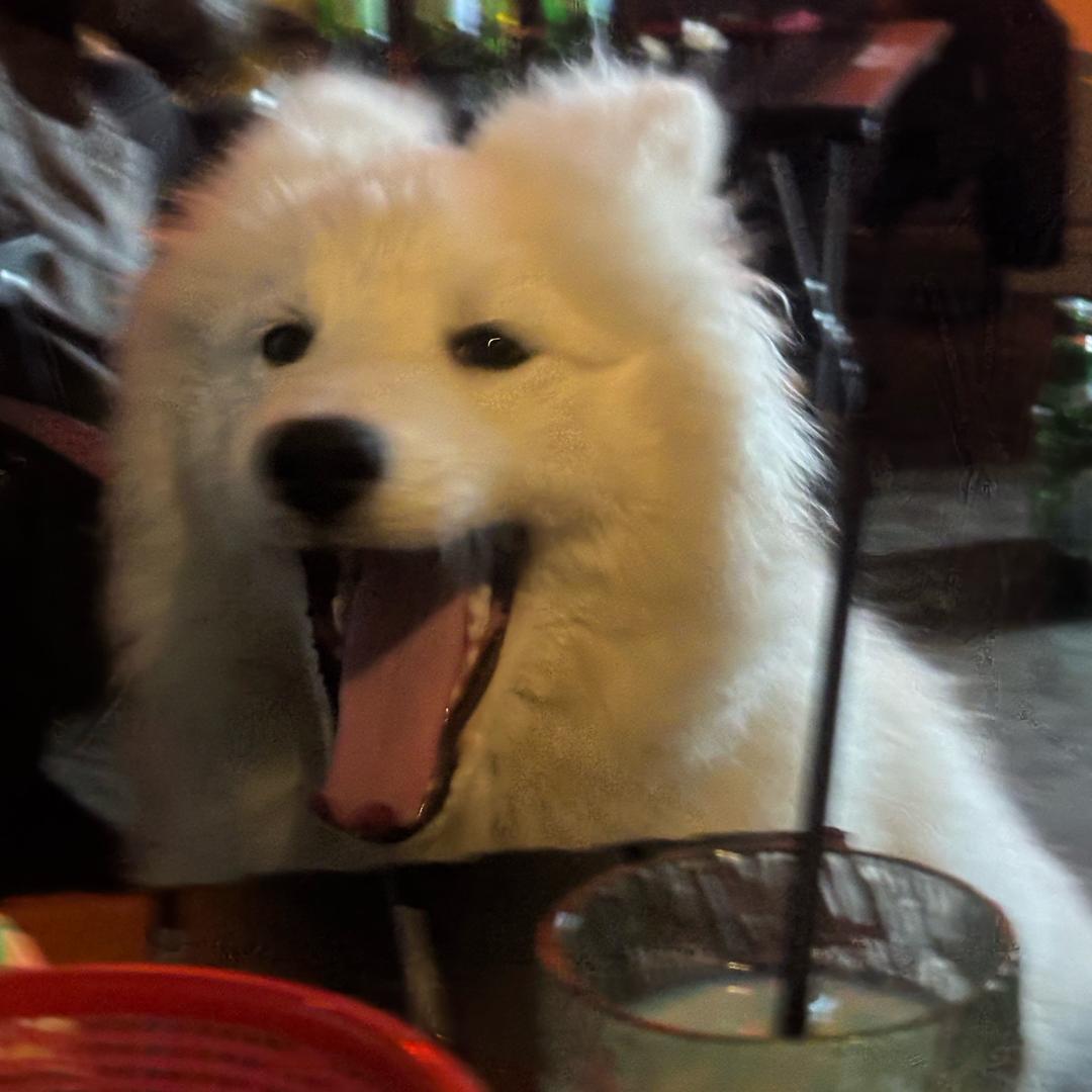 DaFu