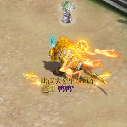 大话西游2️⃣鸭鸭