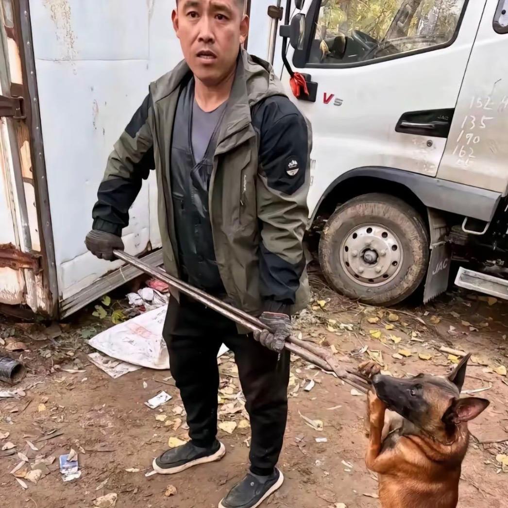 航神专业套狗
