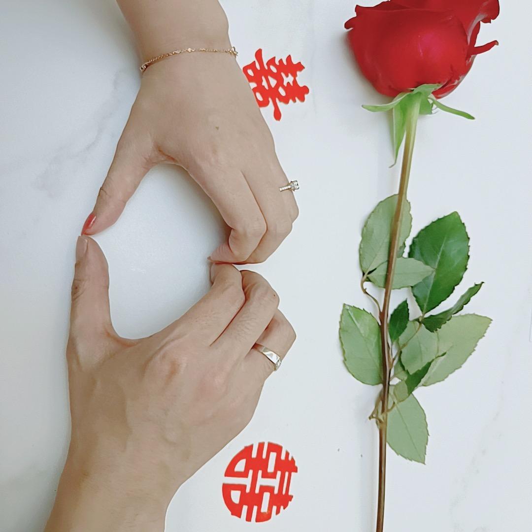 心之翼