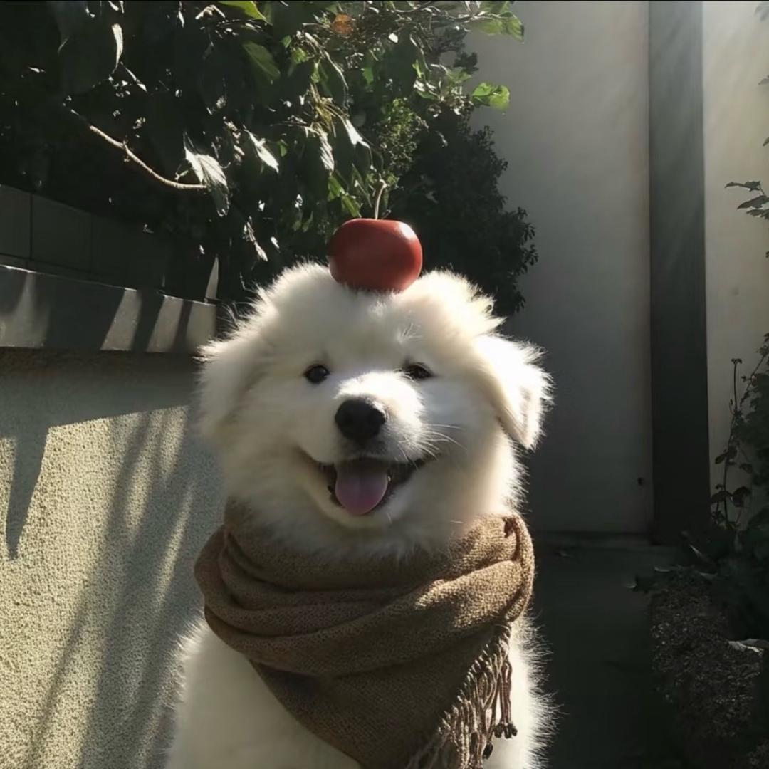 你吃饱了吗_