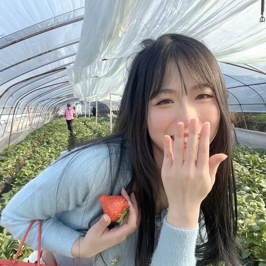 🍃叶子