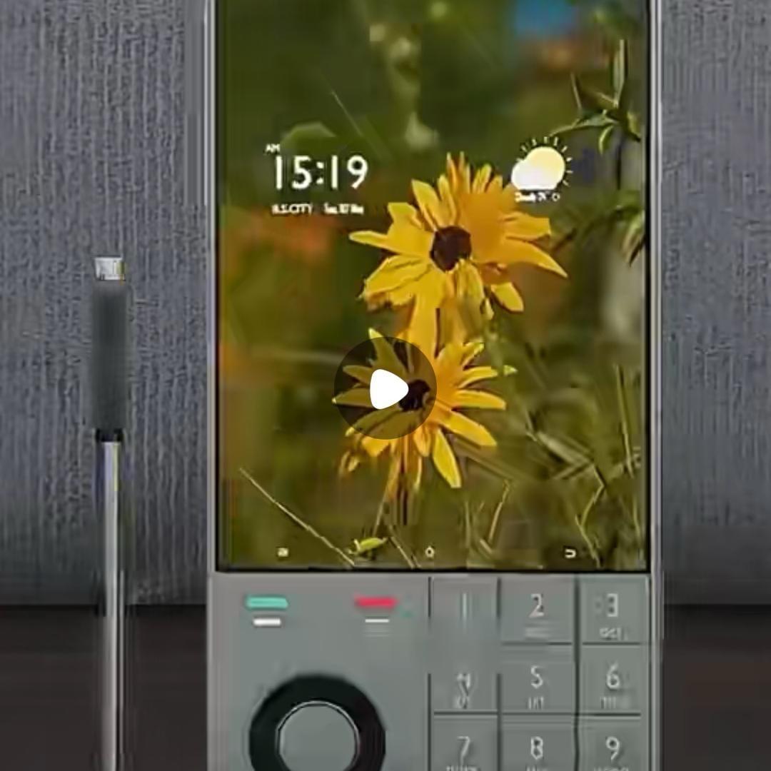饼弟