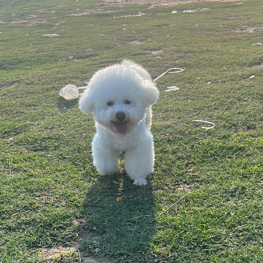 辉