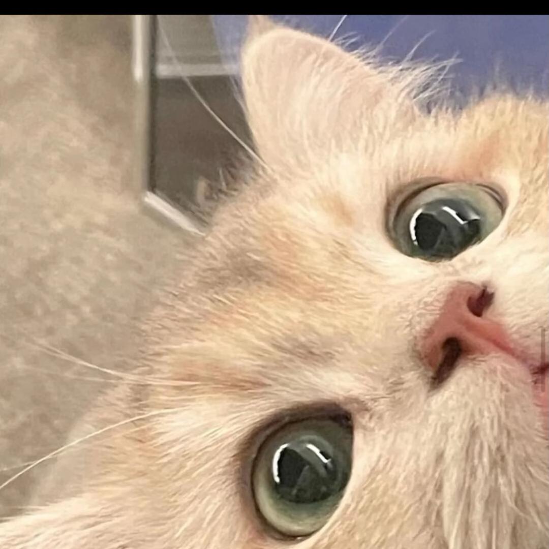 L1iiowo