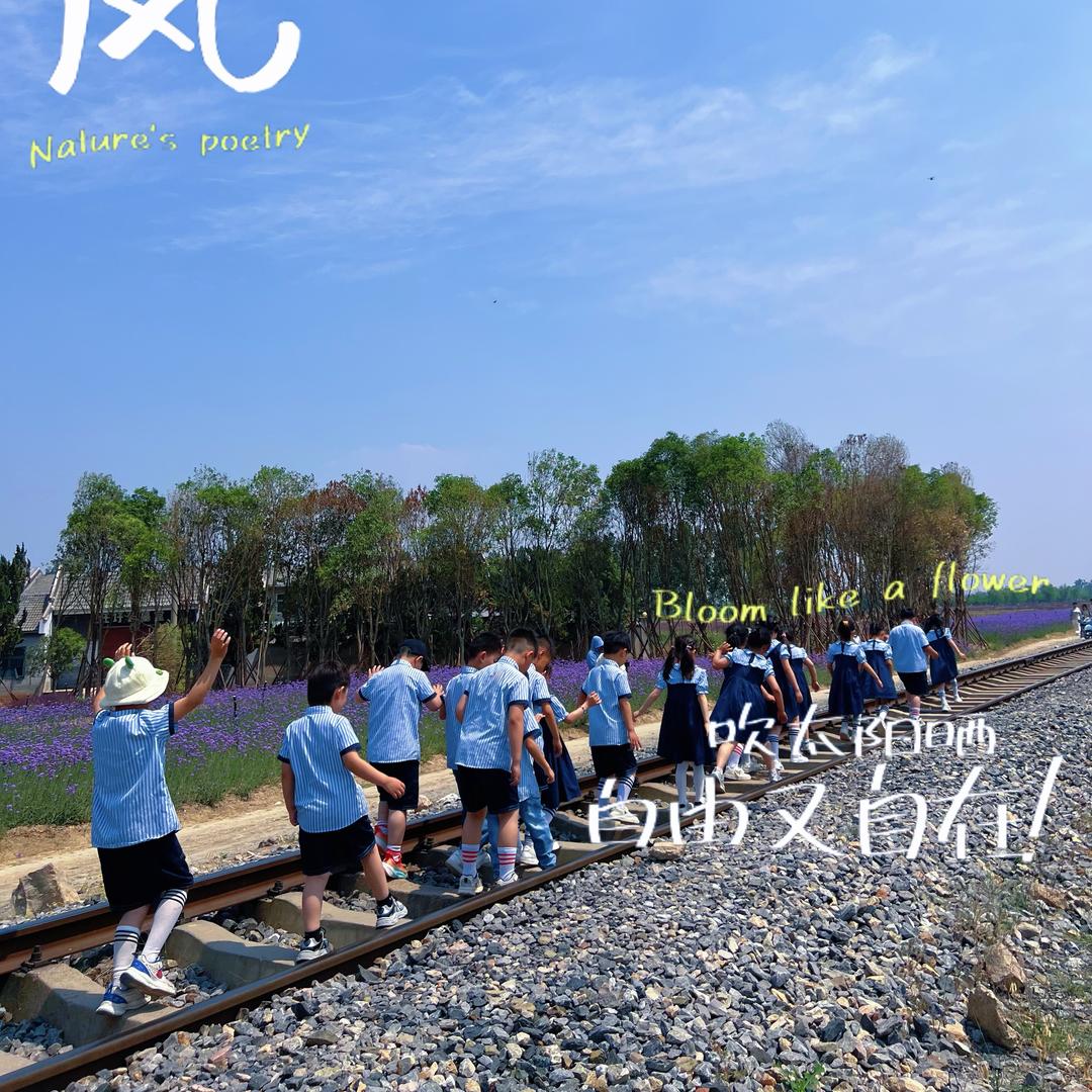 张集毛毛幼儿园