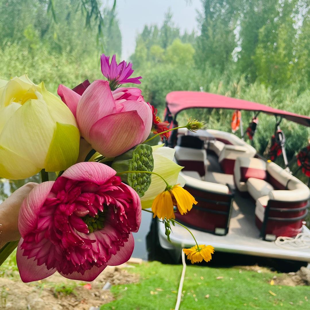 白洋淀黄影船舶租赁部