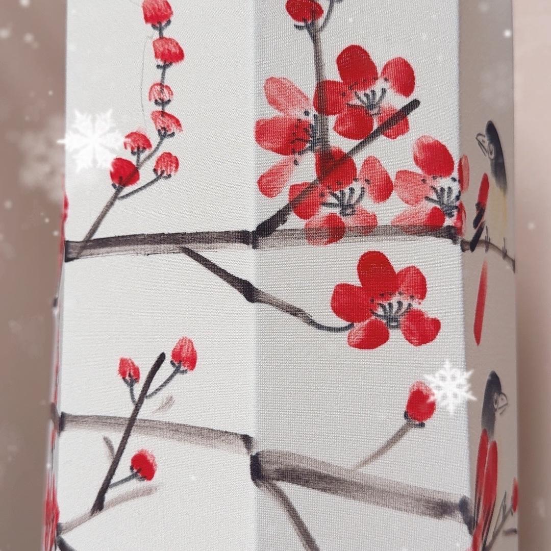 洛瑞兹丝绸