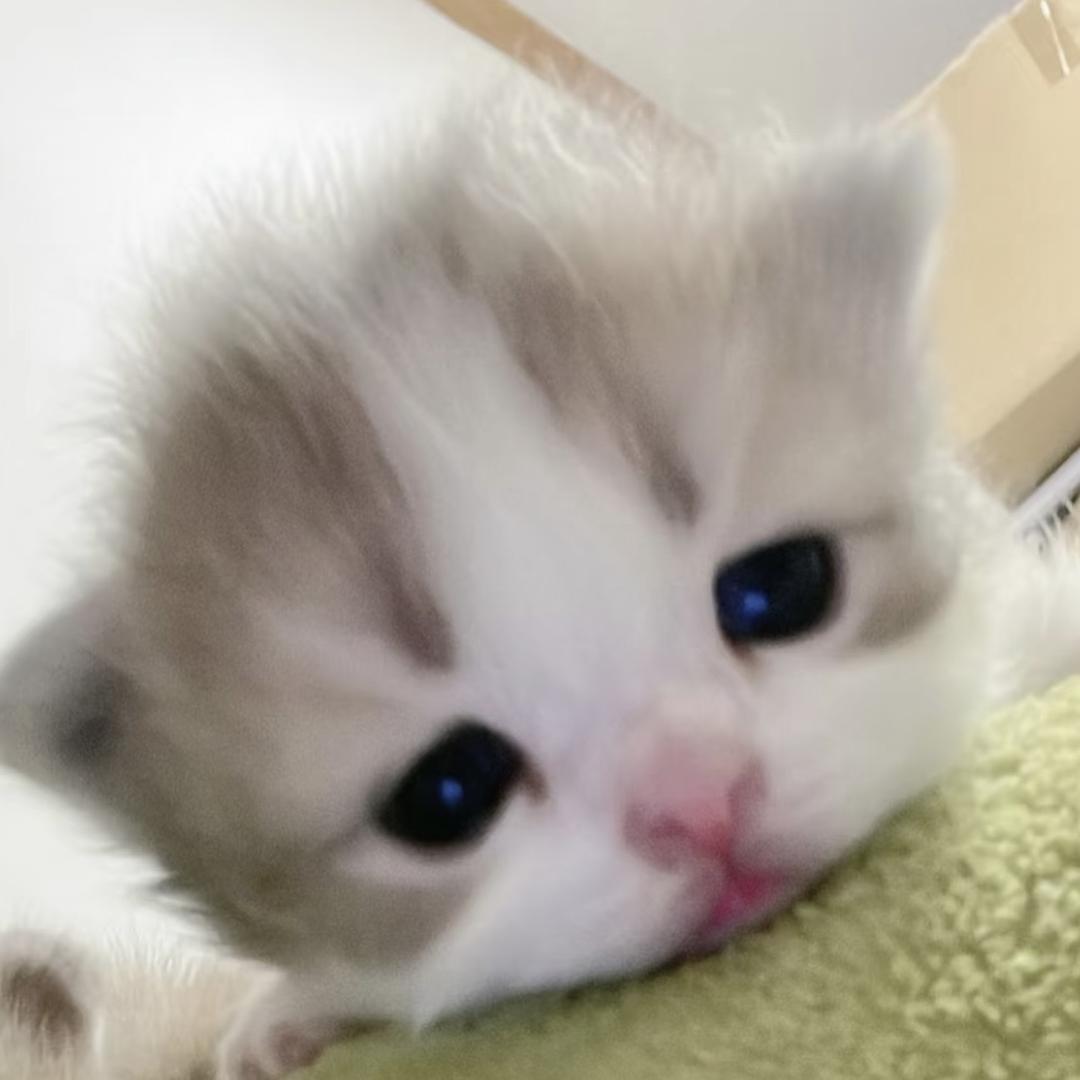 薯什么条