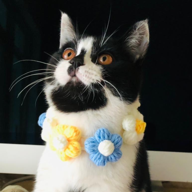 胖葫芦