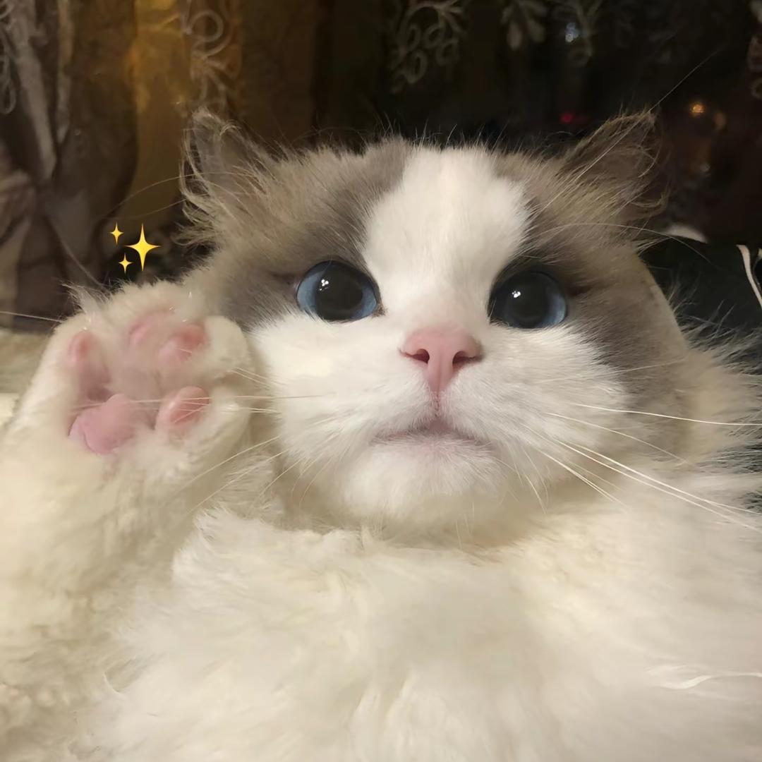 贰贰伍