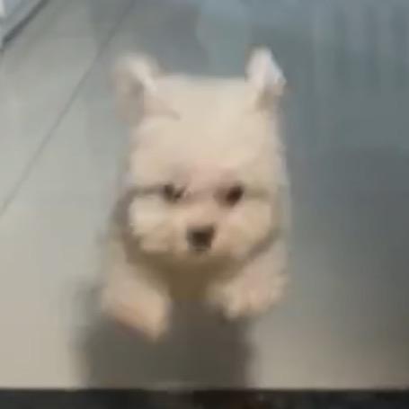 泡大锅♫•*¨*•.¸¸♪✧