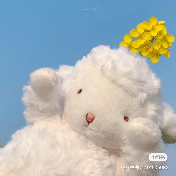 咖啡不加奶