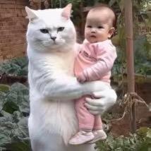 万里卷云