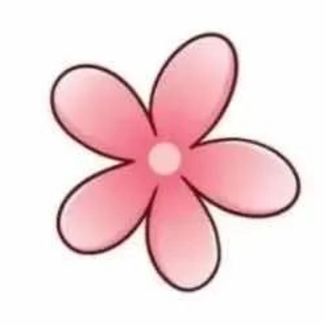 宸小乖