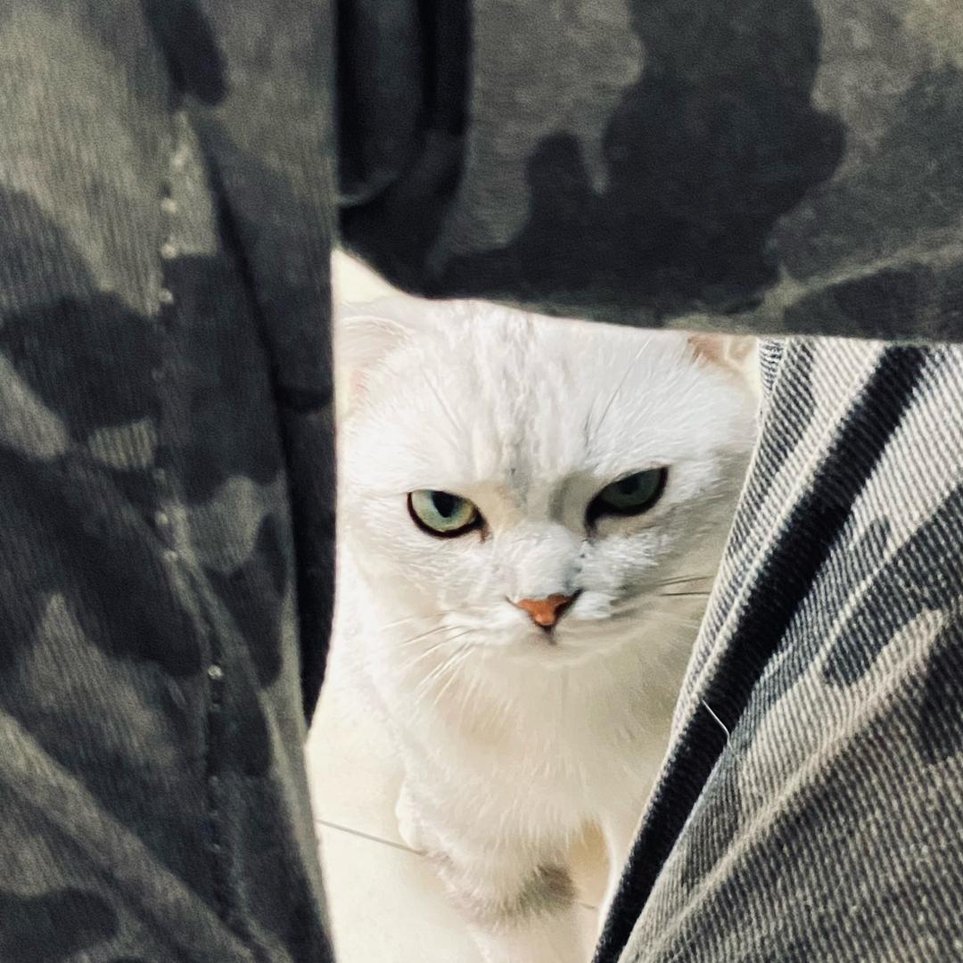 瑞爱吃中辣（减肥版）