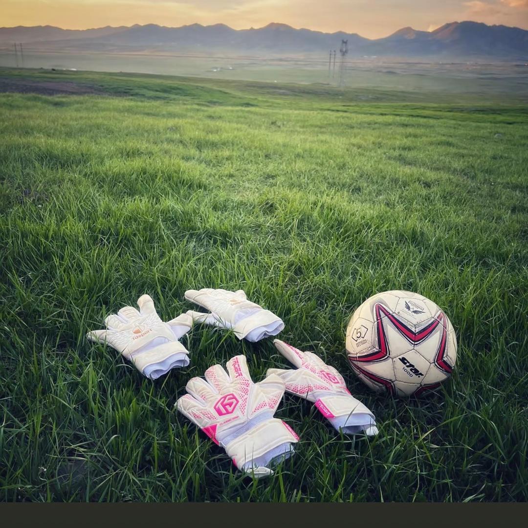 ནོར་།.🏟