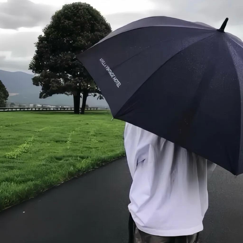 一瞻