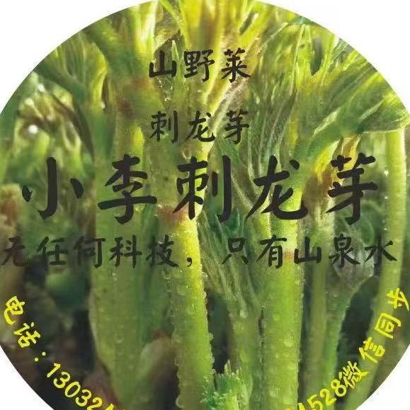 AA小李刺龙芽