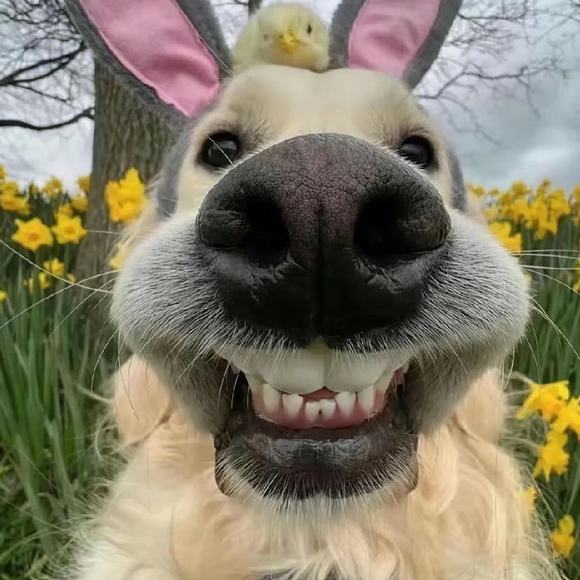 ⁽⁽ଘ兜兜有米ଓ⁾⁾༄