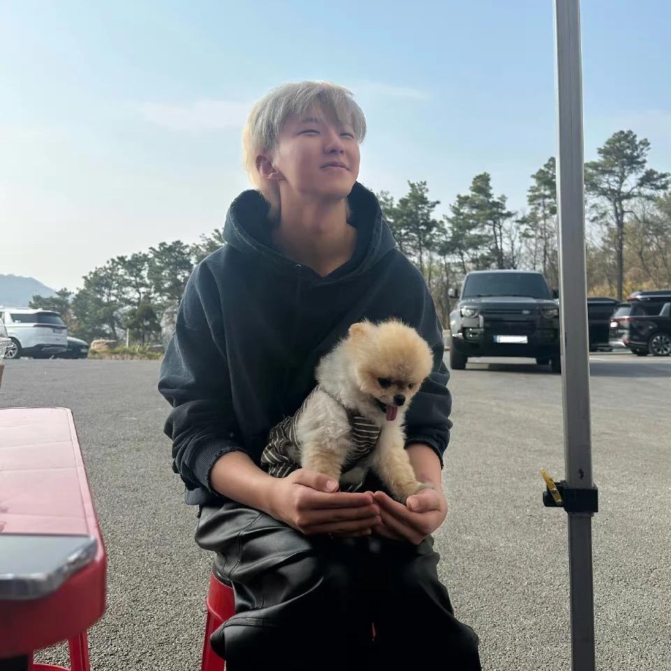 想念是会hoshi的痛