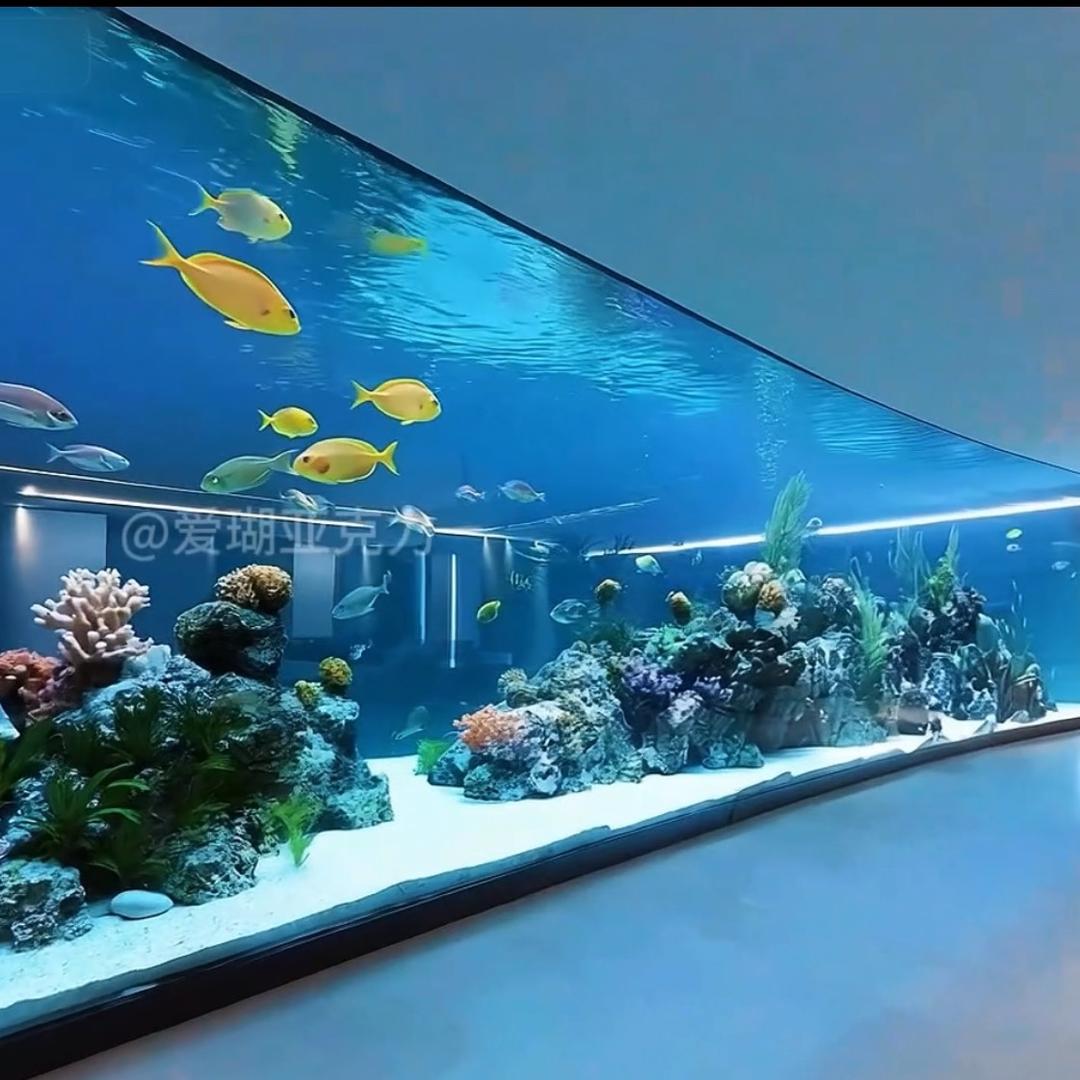 爱瑚水族工程