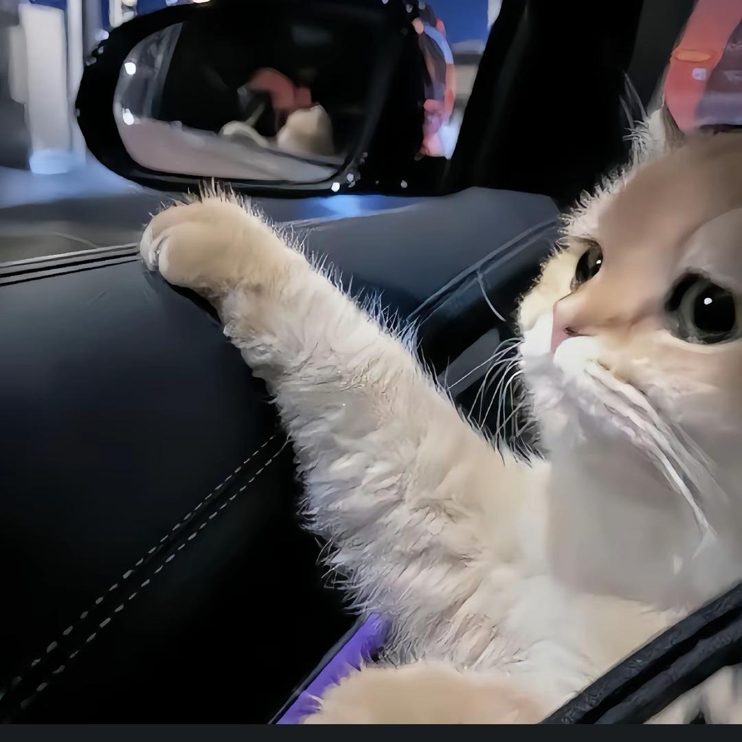 aaaaaaaaa
