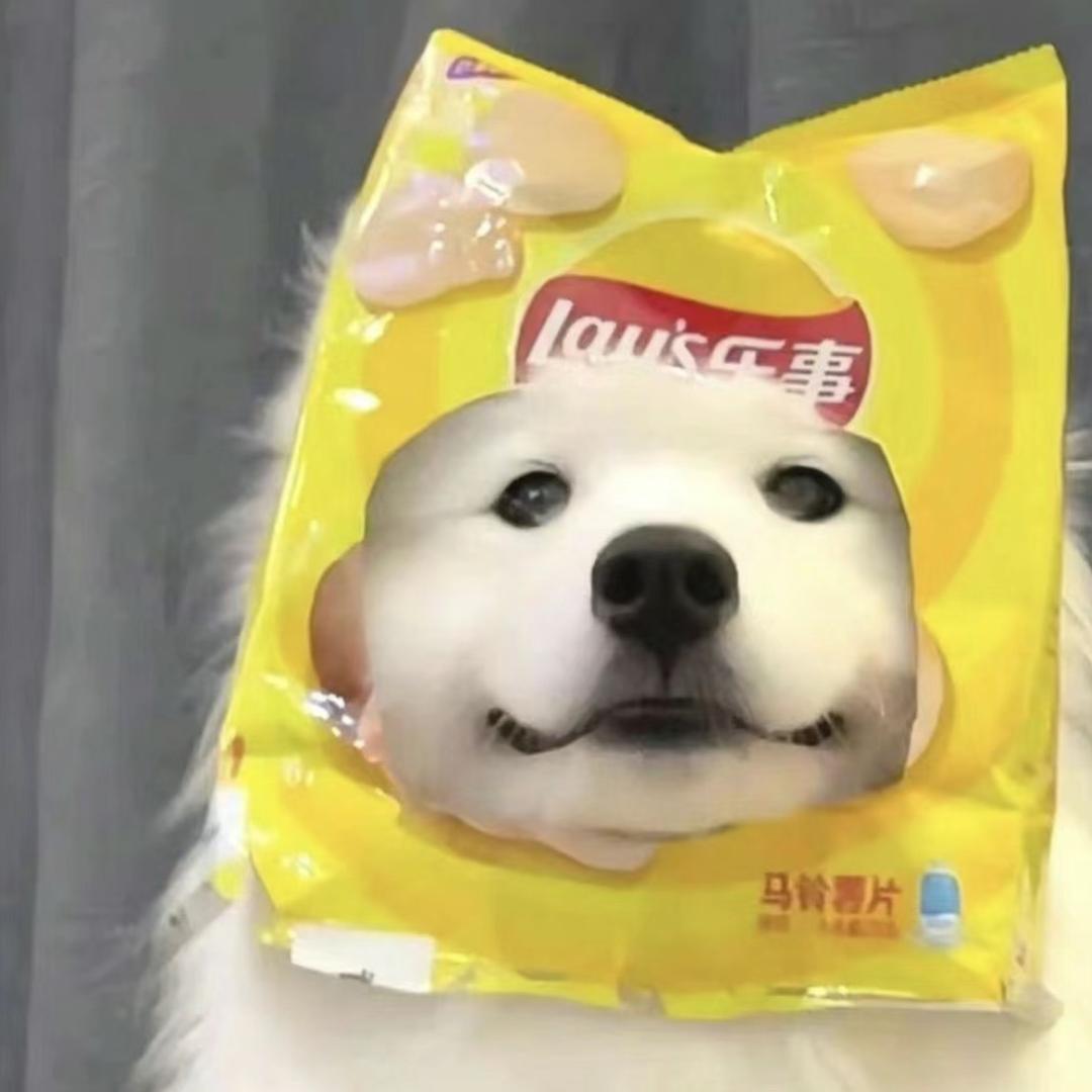 艺亿.
