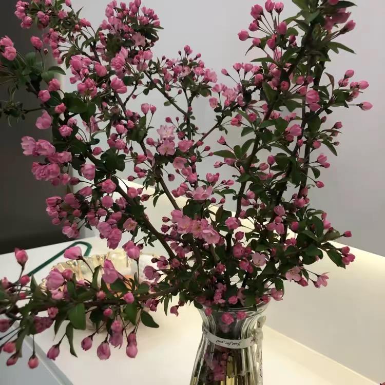 百货好物