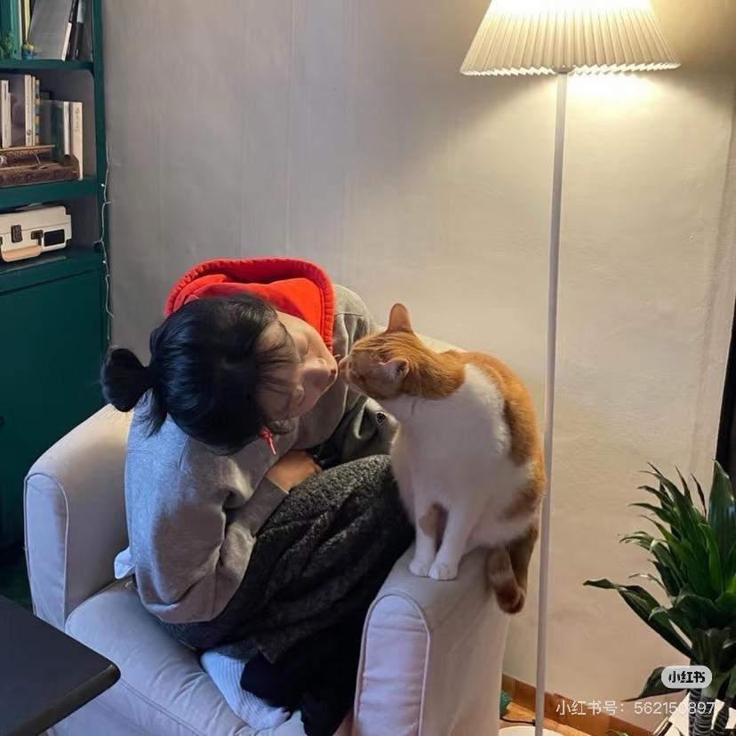 아오비