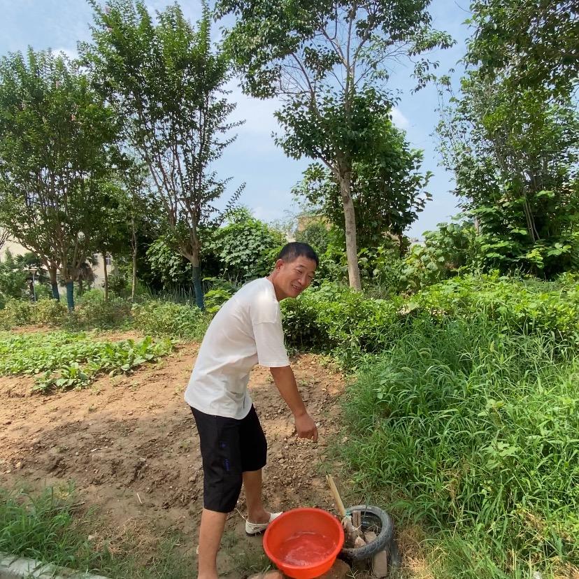 秦师傅的平凡生活