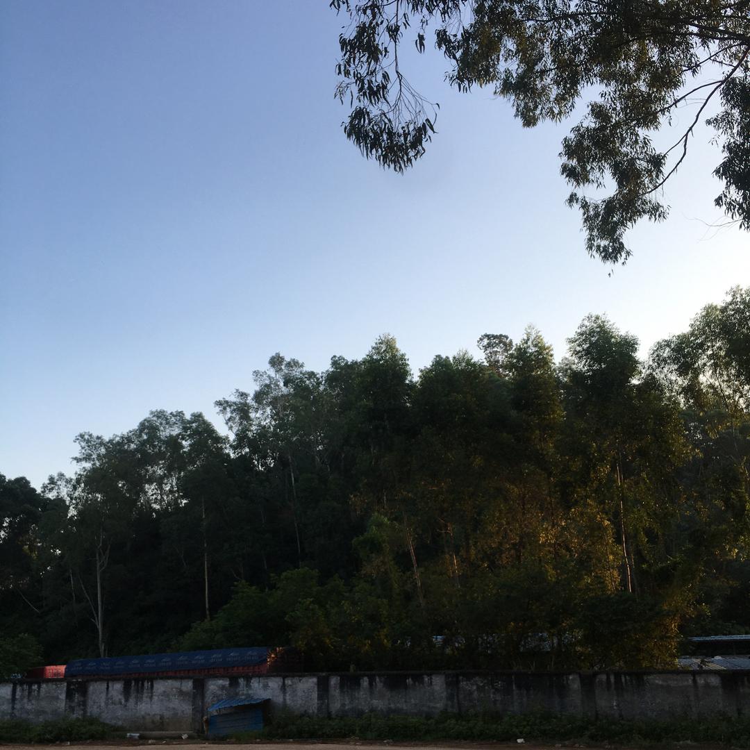 小刘