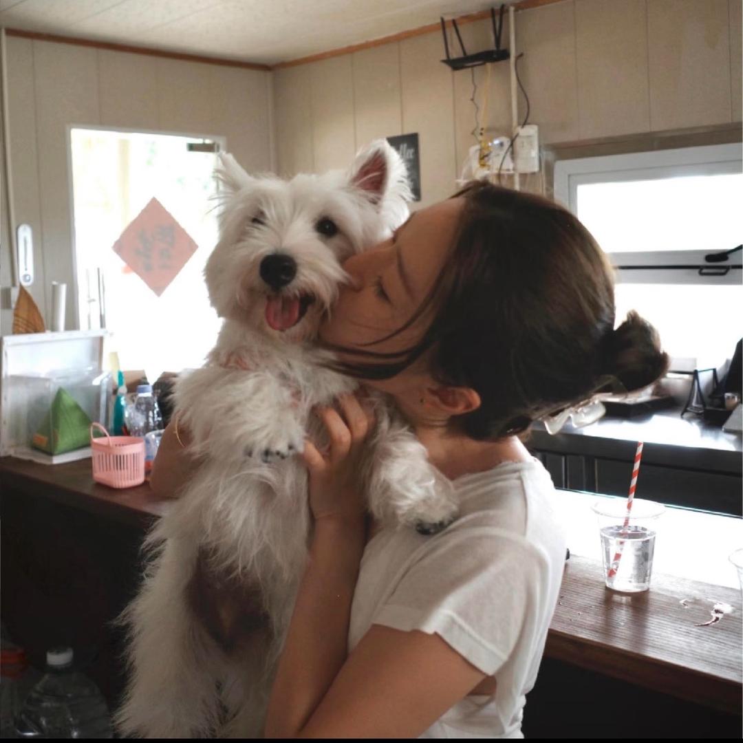 麻瓜