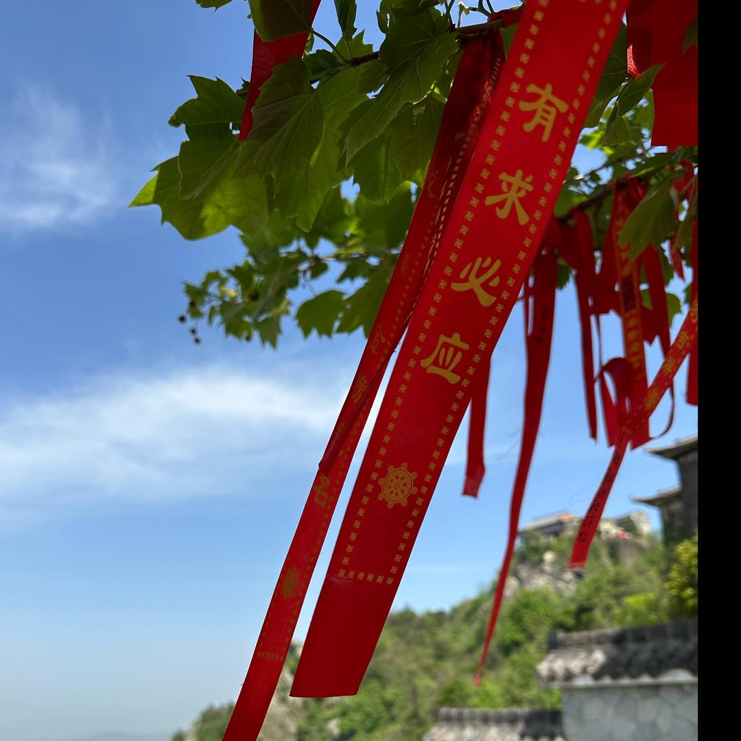 想宝大王