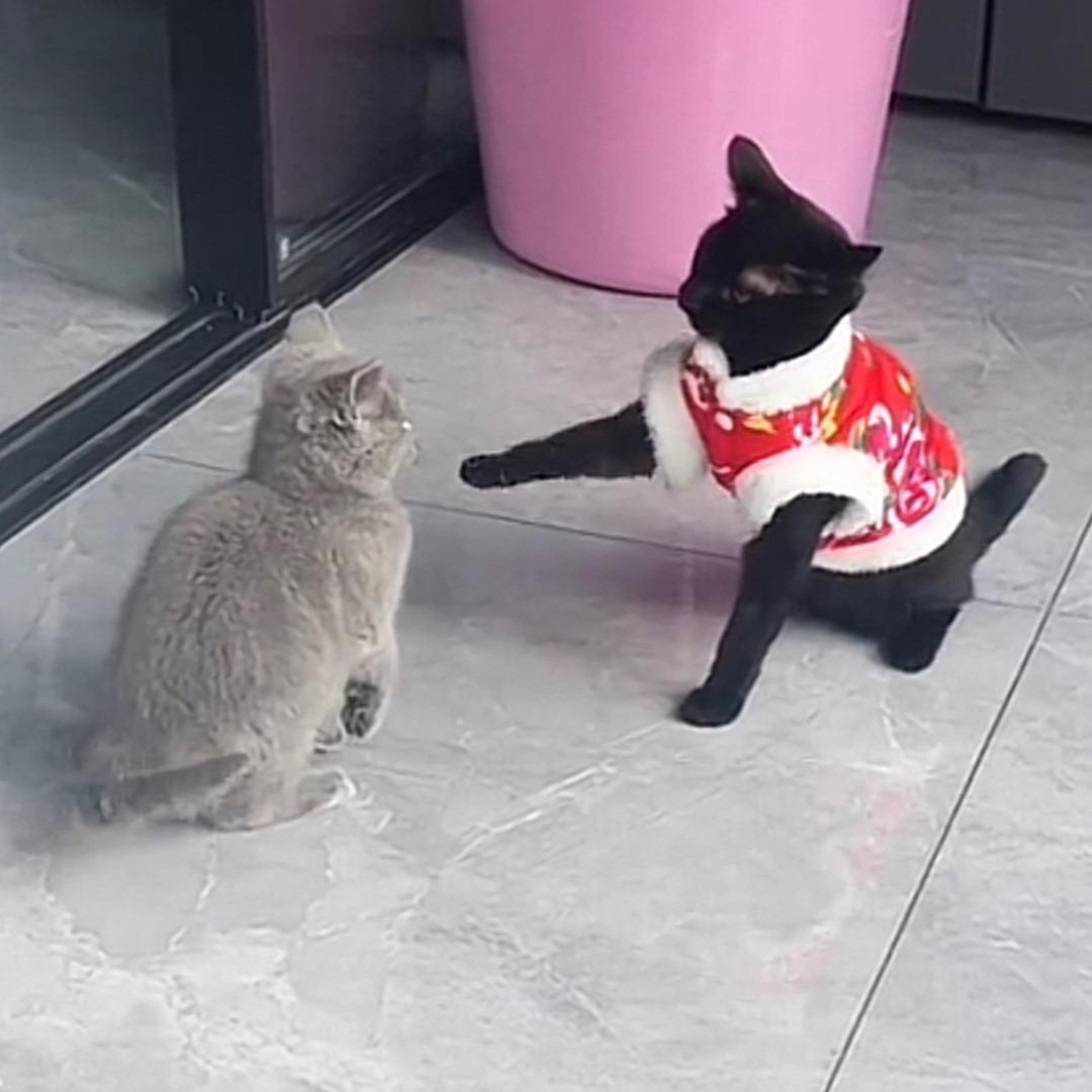 是我啦