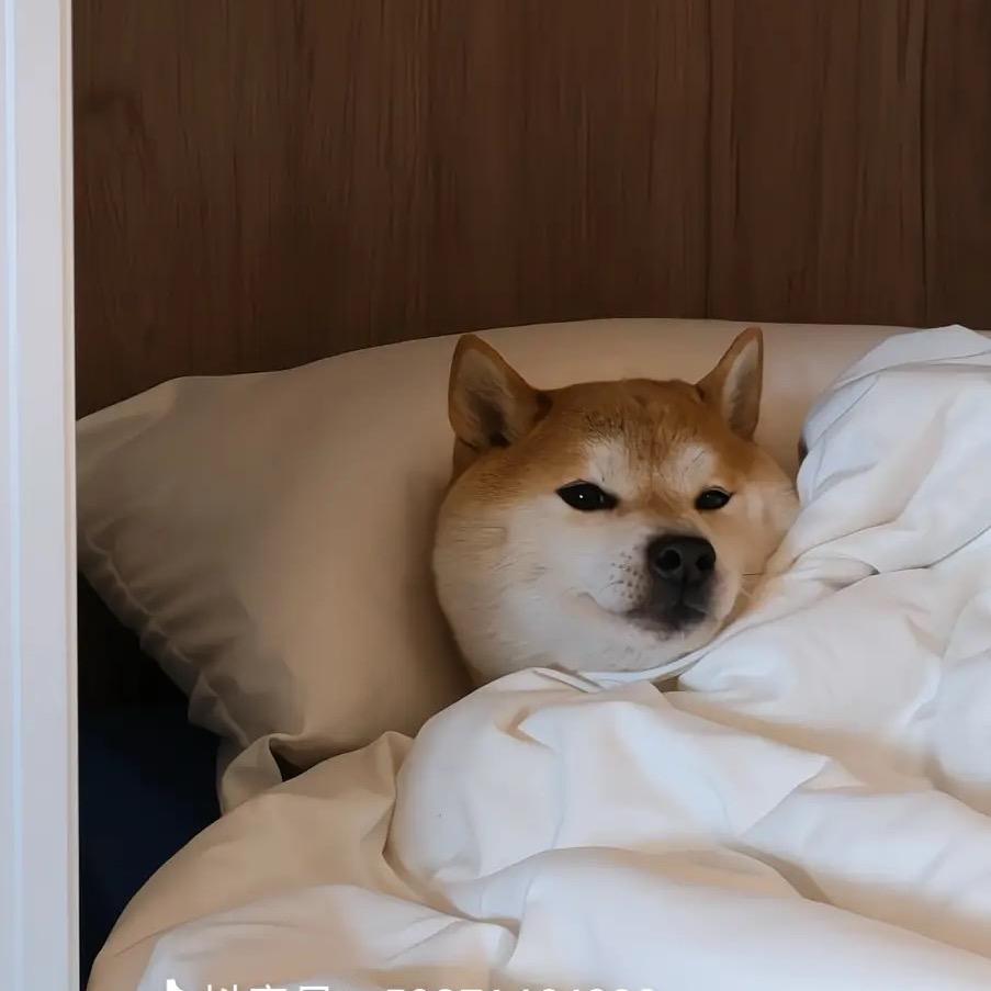 力挽狂鱼