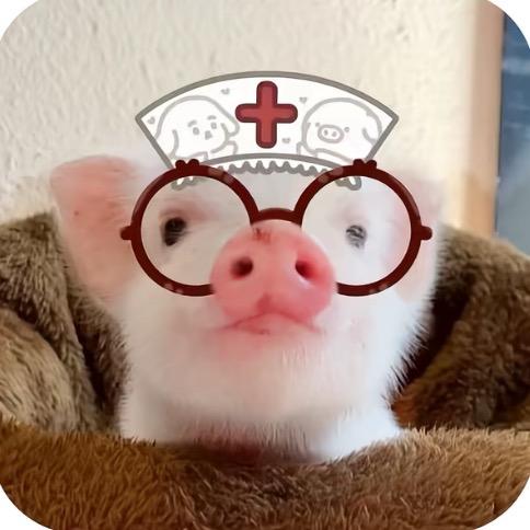 yi只火龙果
